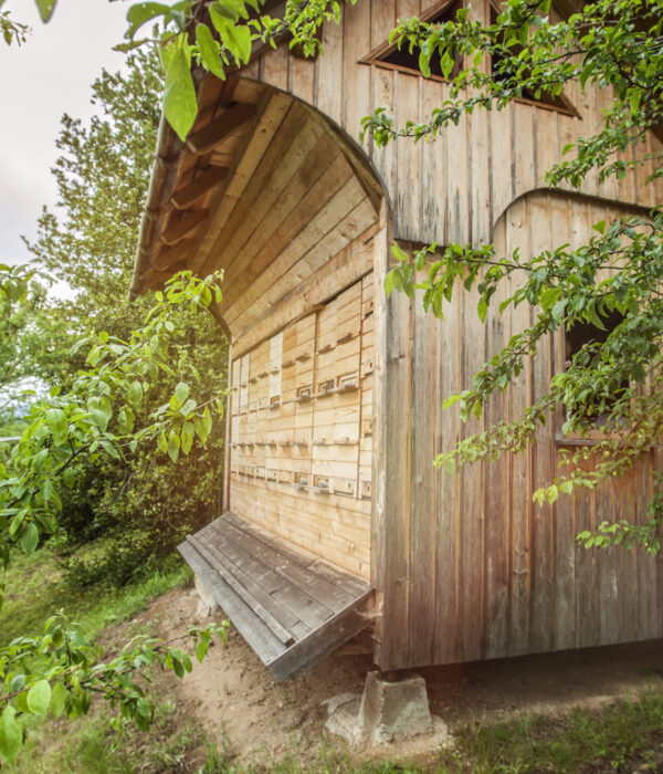 Chauffer un atelier de jardin : quelles solutions pour un espace vraiment utilisable toute l'année ?