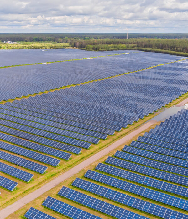 Solaire photovoltaïque en France : un marché qui accélère malgré la baisse des aides
